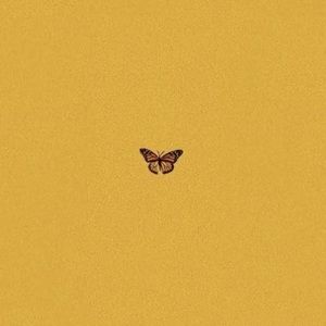 Meet your Posher, Devenney